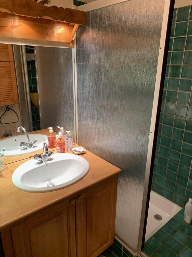 Bel Appartement Au Decor Montagnard - 80M2 レ・コンタミンヌ・モンジョワ エクステリア 写真